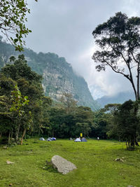 National park chicaque