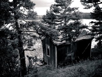 House with trees in background