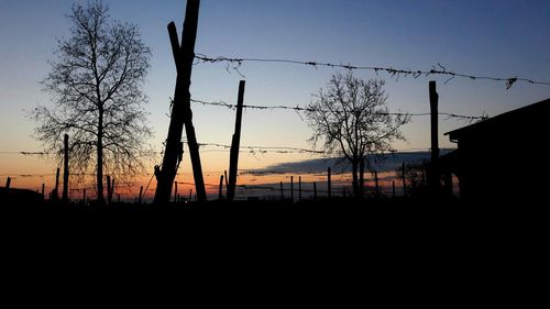 Silhouette trees against sky during sunset