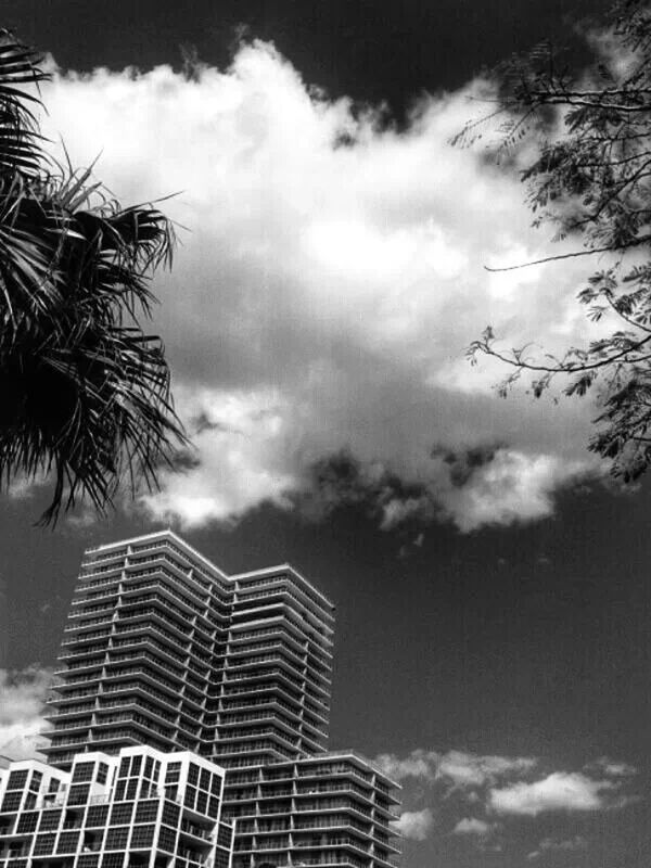 sky, cloud - sky, building exterior, architecture, built structure, cloudy, low angle view, palm tree, tree, cloud, tall - high, city, growth, nature, weather, day, overcast, modern, outdoors, no people