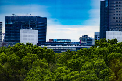 Trees by modern buildings in city against sky