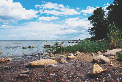 Rocks on beach against sky