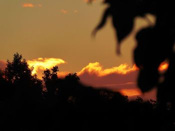 Silhouette trees against orange sky