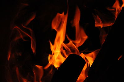 Close-up of bonfire at night