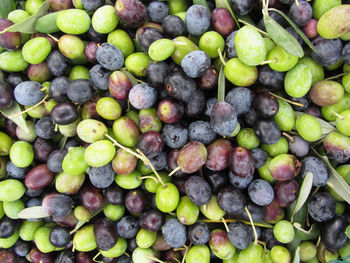 Full frame shot of fruits for sale at market stall