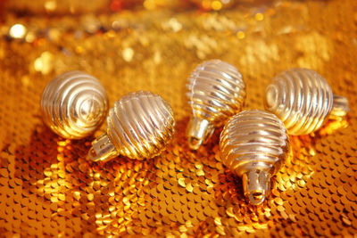 Close-up of shell on metal table