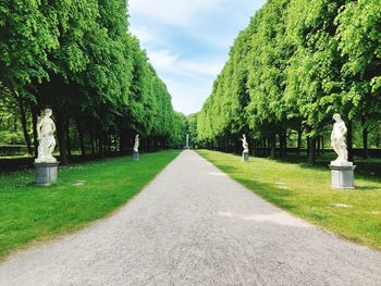 A perfect walk to the fountain. perspective. 