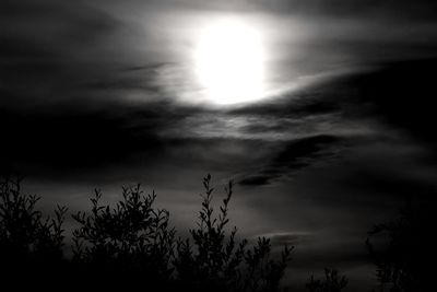 Silhouette trees against sky
