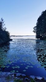 Scenic view of lake against clear blue sky