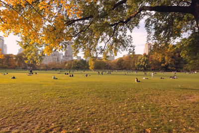 Group of people on field in park during autumn