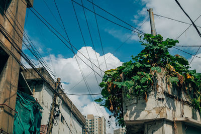 Low angle view of cables against sky