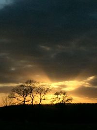 Silhouette trees on landscape against sunset sky