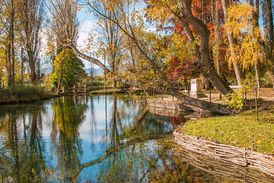 Scenic view of lake amidst trees during autumn