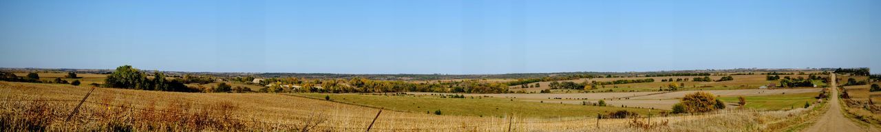 Scenic view of vineyard against clear blue sky