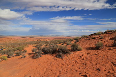Scenic view of landscape against sky