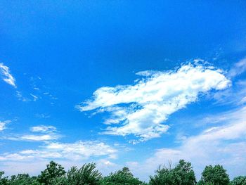 Low angle view of tree against blue sky