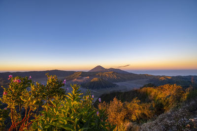 Scenic view of landscape against clear sky during sunset