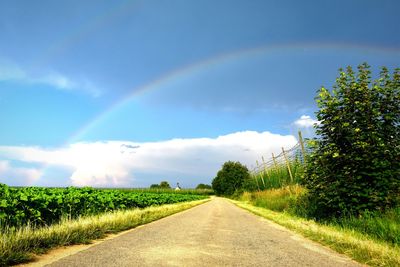 Country road passing through field