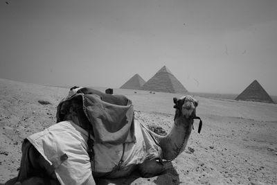 Man on sand dune in desert against clear sky