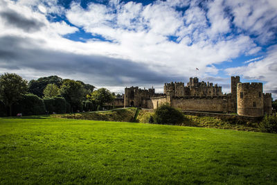 Trees growing on field against sky