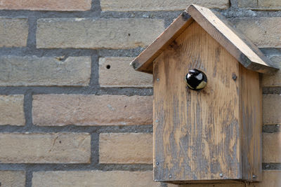 Bird in wooden house on wall