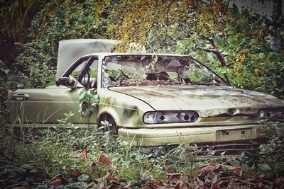 Abandoned car on grass