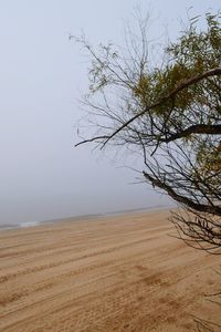 Scenic view of landscape against clear sky