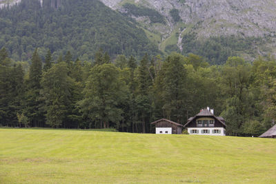 House in forest against sky