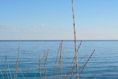 Close-up of sea against sky