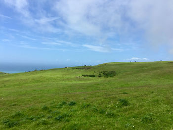 Scenic view of grassy field against sky