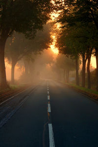 Road by trees against sky during sunset