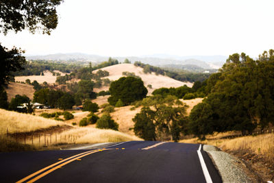 Road amidst trees against clear sky