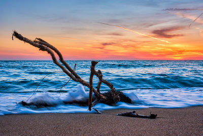 Old wood trunk snag in water at beach on beautiful sunset