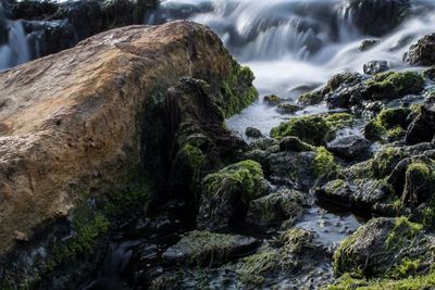 Scenic view of waterfall
