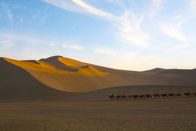 Scenic view of desert against sky