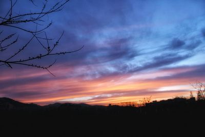 Low angle view of silhouette trees against sky at sunset