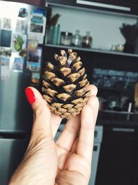 Close-up of hand holding pine cone in kitchen at home