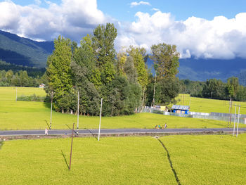 Scenic view of field against sky