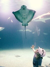 Girl by fish tank in aquarium