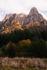 Trees on mountain against sky during autumn