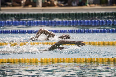 People swimming in pool