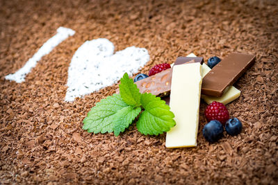 Close-up of bread on sand