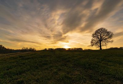 Scenic view of field against sky during sunset