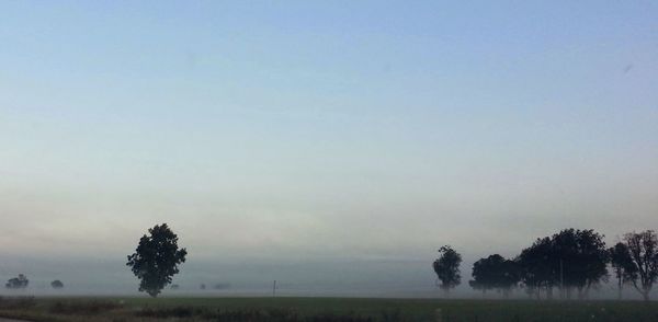 Trees on landscape against sky