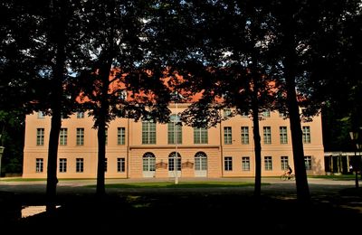 Trees and building against sky