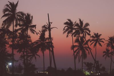 Silhouette palm trees against sky during sunset