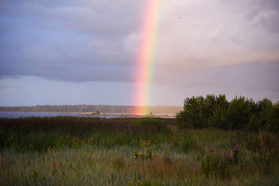 Scenic view of rainbow over field against sky