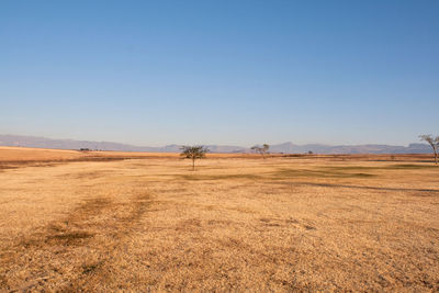 Scenic view of field against clear sky