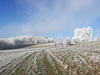 Scenic view of field against sky