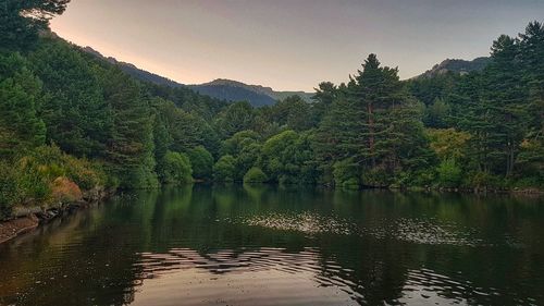 Scenic view of lake in forest against sky